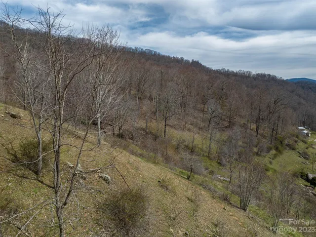 a view of a dry yard