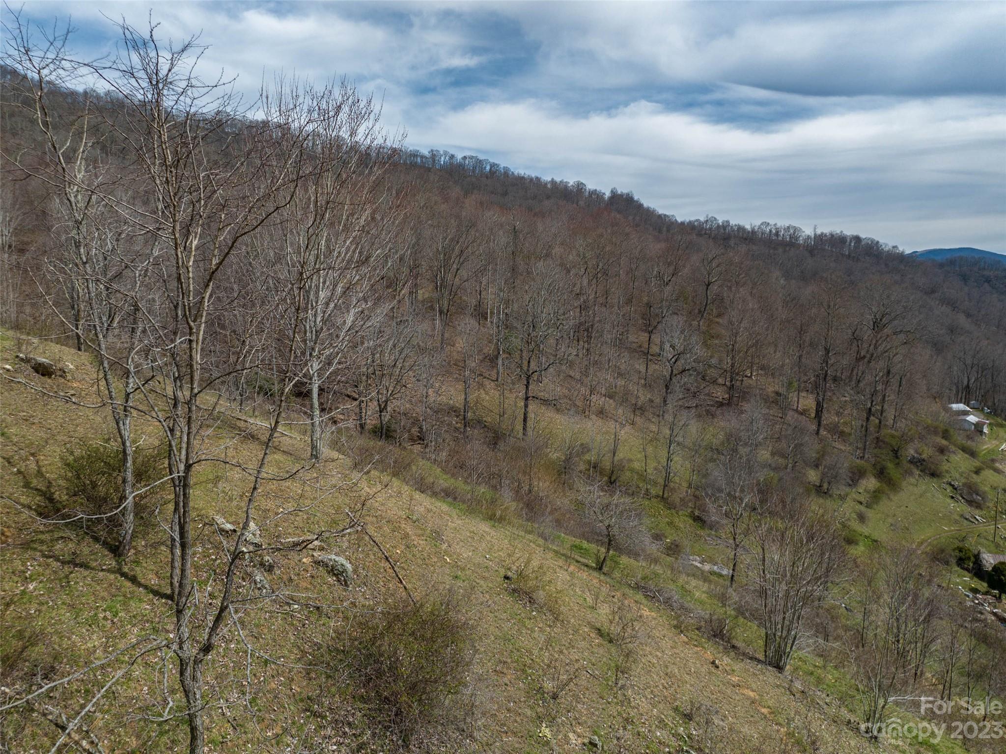 0 Wesley Creek Road Clyde, NC 28721 - Photo 11 of 45 a view of a dry yard