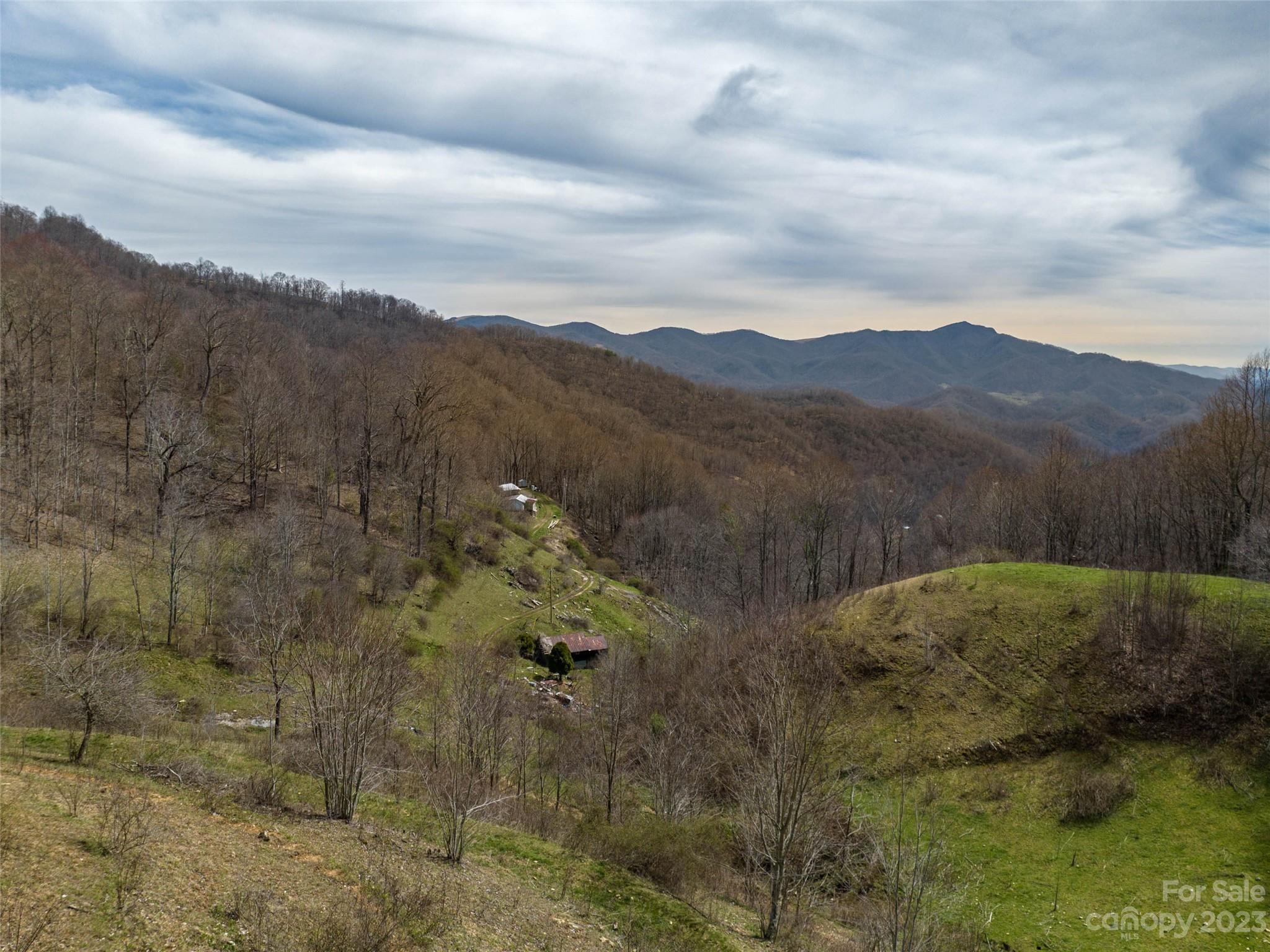 0 Wesley Creek Road Clyde, NC 28721 - Photo 12 of 45 a view of a lush green hillside and mountains