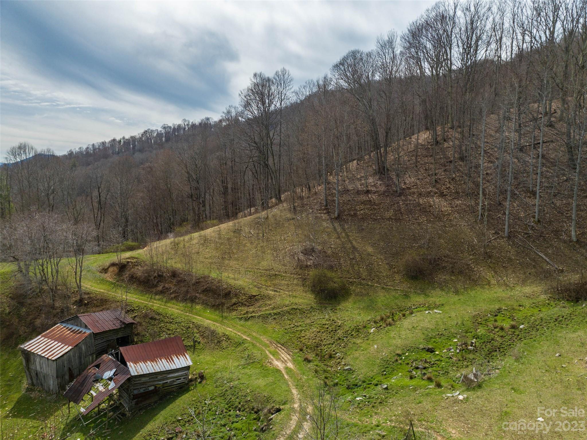 0 Wesley Creek Road Clyde, NC 28721 - Photo 14 of 45 a view of backyard with mountain view