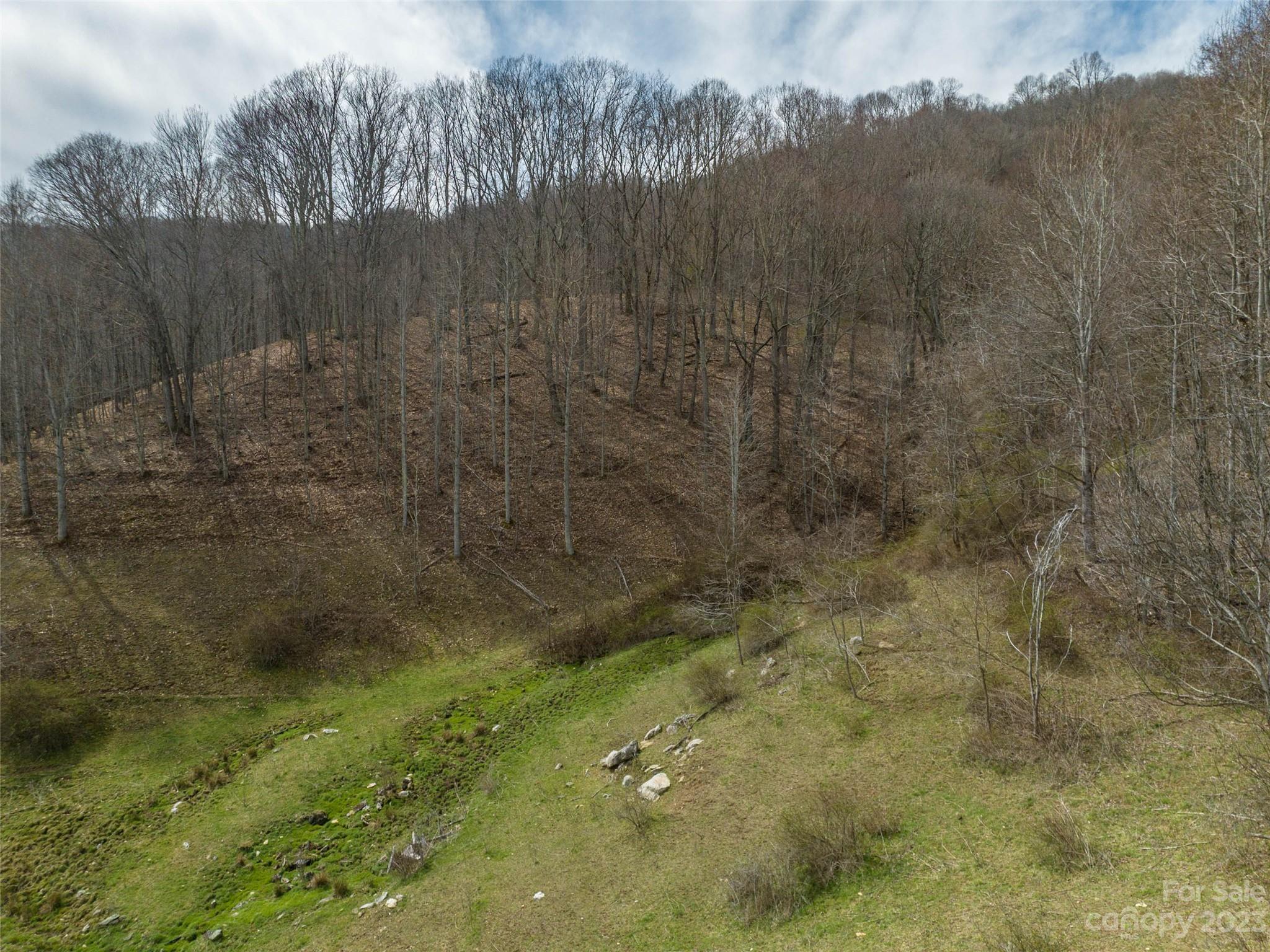 0 Wesley Creek Road Clyde, NC 28721 - Photo 15 of 45 a view of a small yard