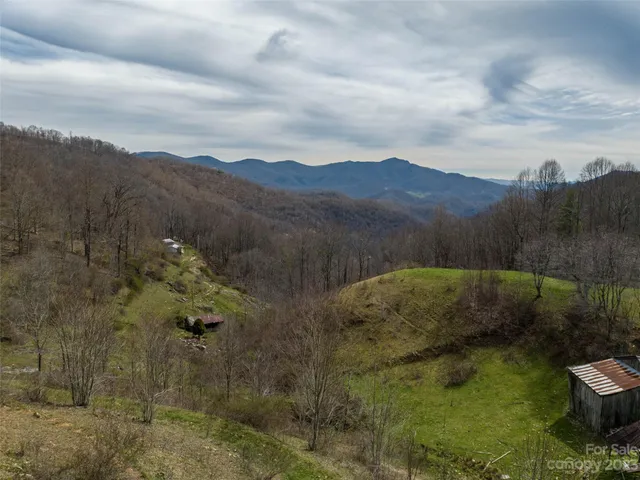 a view of a forest with a sink