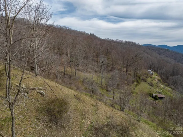 a view of a dry yard with green space