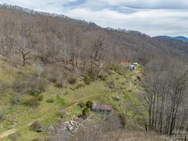 a view of a dry yard