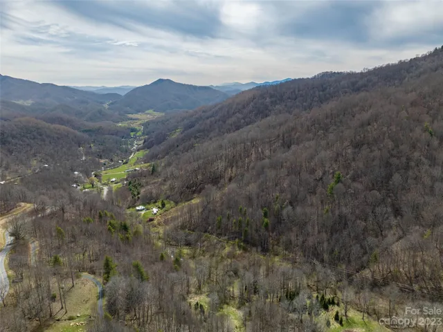 a view of a lush green forest with mountains in the background