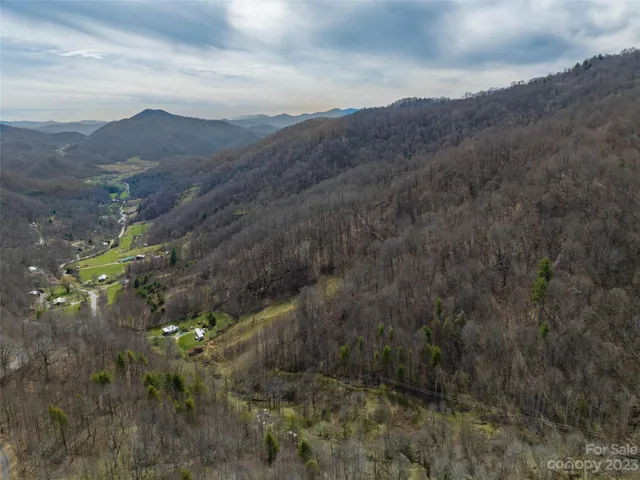 a view of a forest with mountains in the background