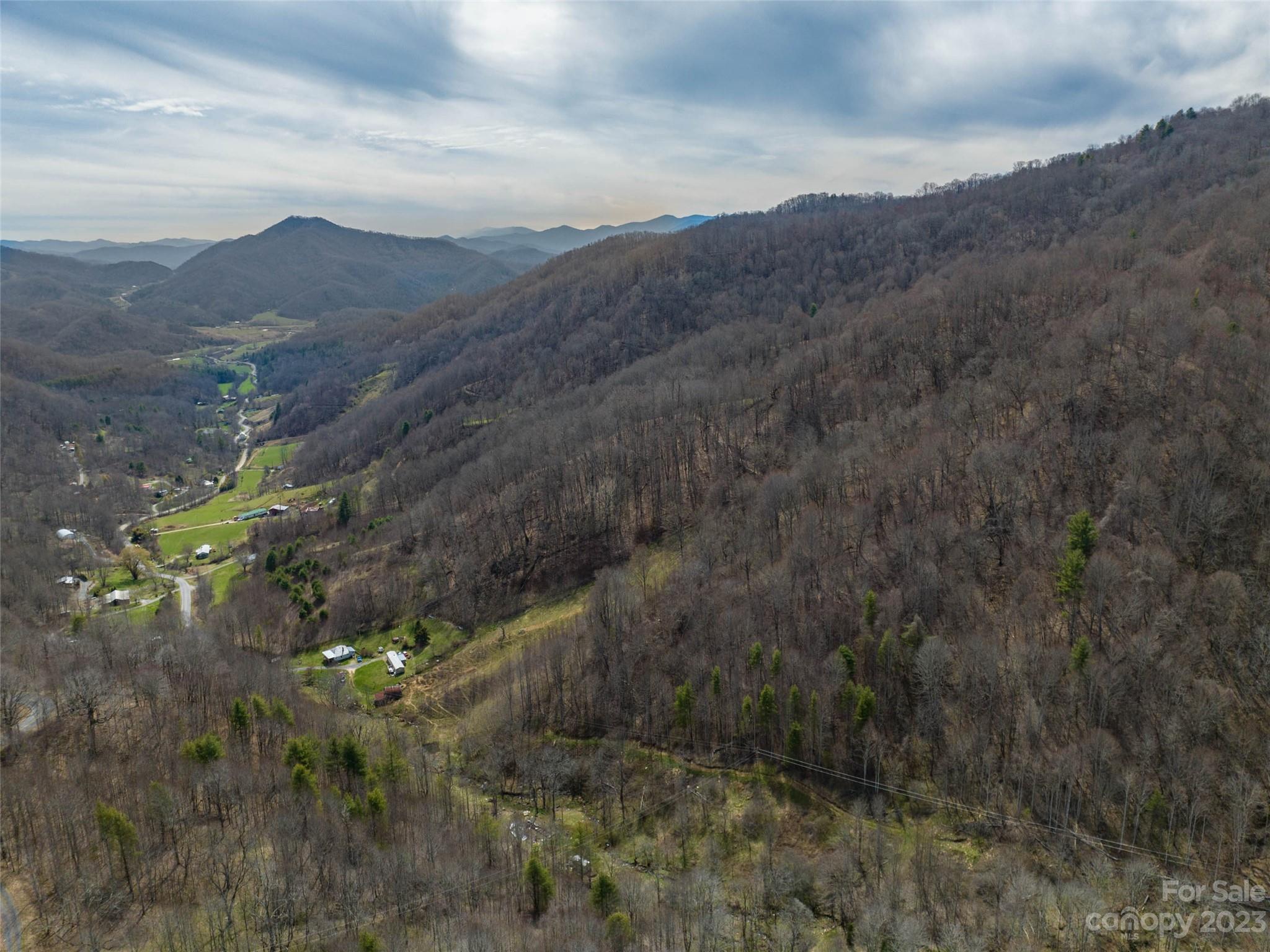 0 Wesley Creek Road Clyde, NC 28721 - Photo 29 of 45 a view of a forest with mountains in the background