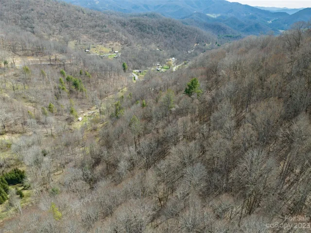 a view of a forest with lush green forest