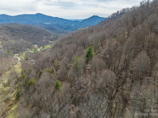a view of a lush green hillside and a houses