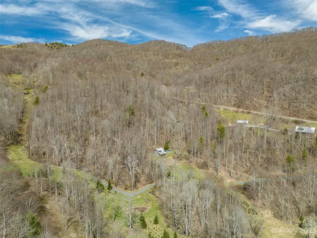 a bathroom with a shower curtain
