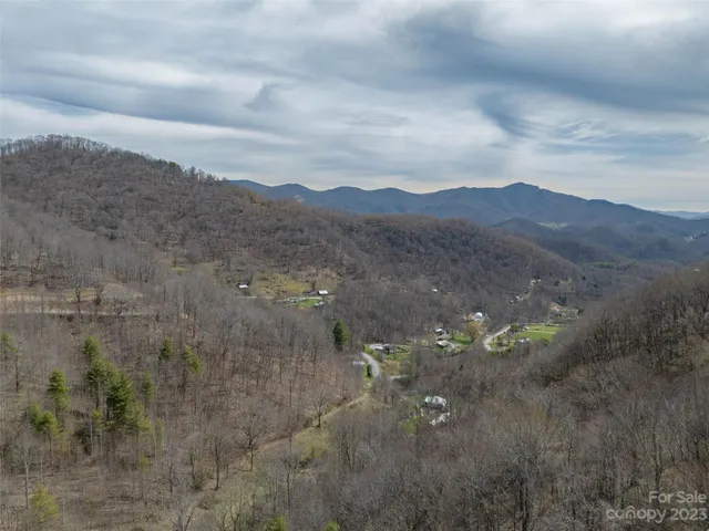 a view of a bunch of trees in a field