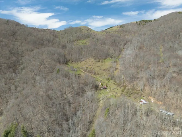 a view of a dry yard