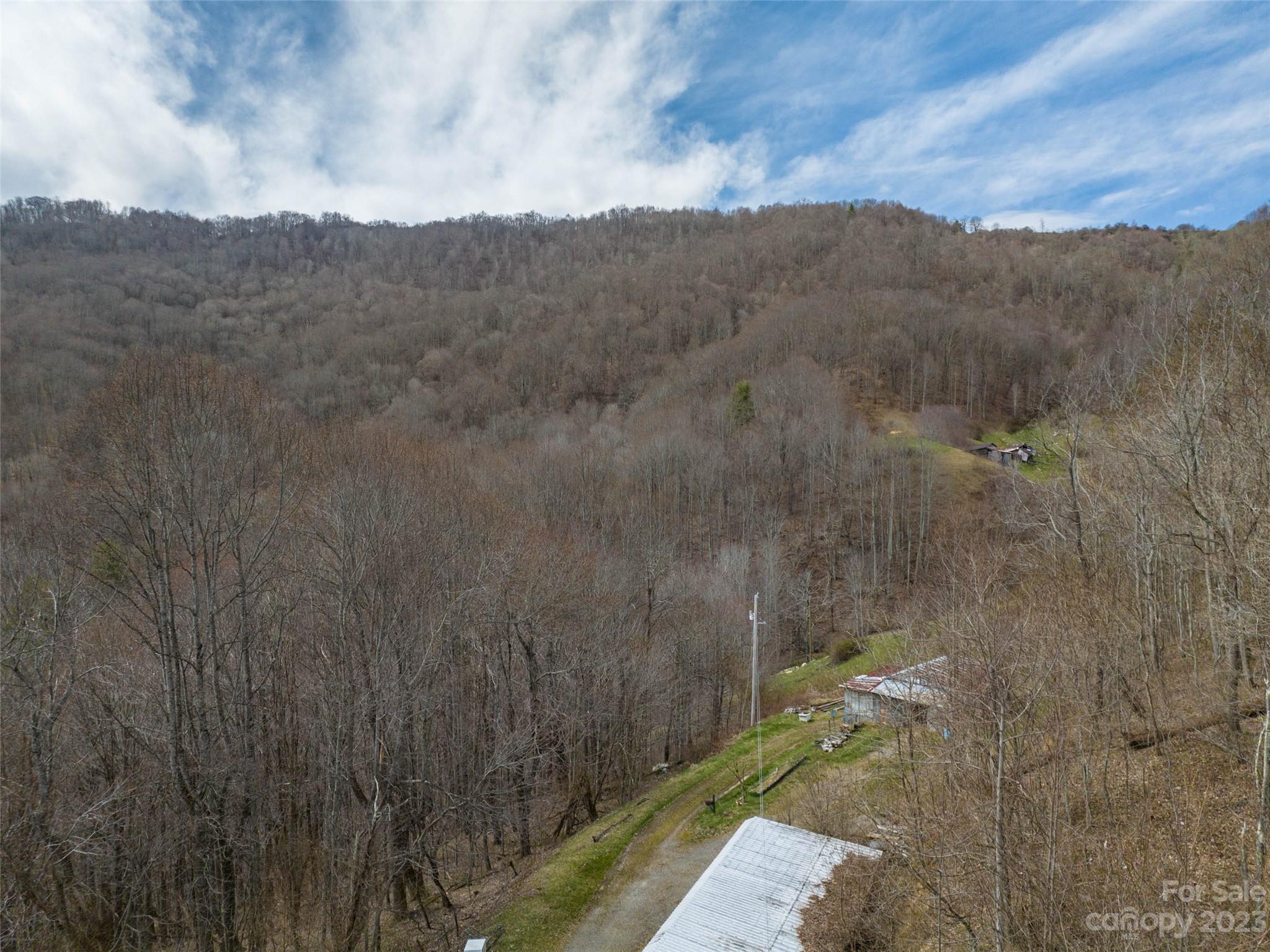 0 Wesley Creek Road Clyde, NC 28721 - Photo 4 of 45 a view of a dry yard with mountains in the background