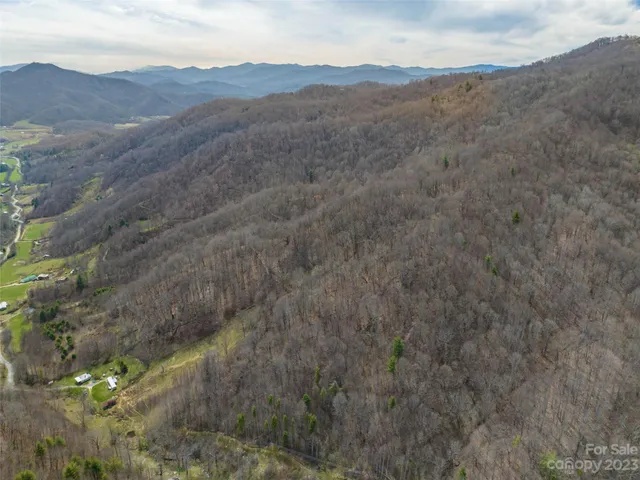 a view of a mountain range with trees