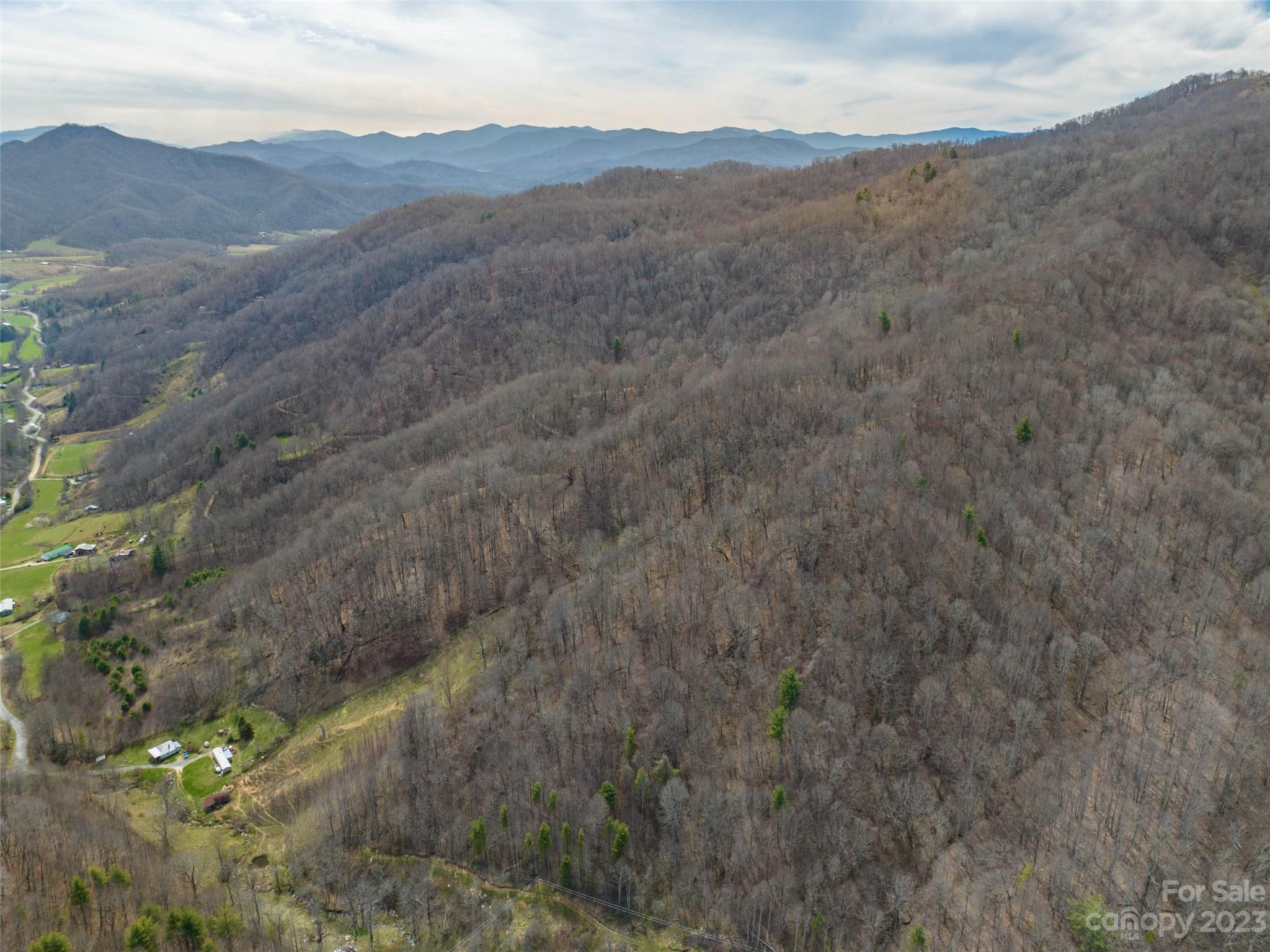 0 Wesley Creek Road Clyde, NC 28721 - Photo 7 of 45 a view of a mountain range with trees