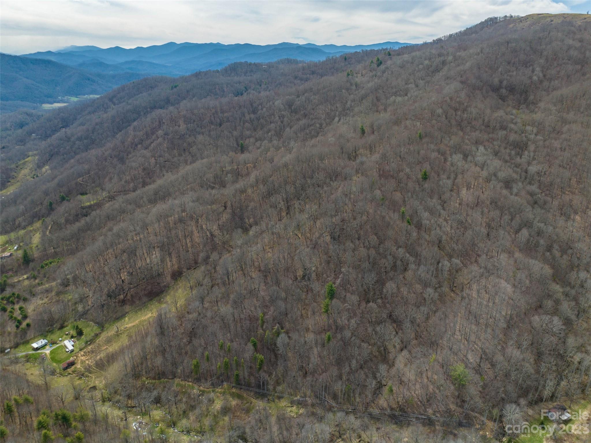 0 Wesley Creek Road Clyde, NC 28721 - Photo 8 of 45 a view of a dry yard with mountains in the background