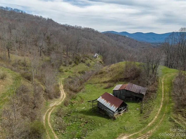 a view of a lush green forest with mountain