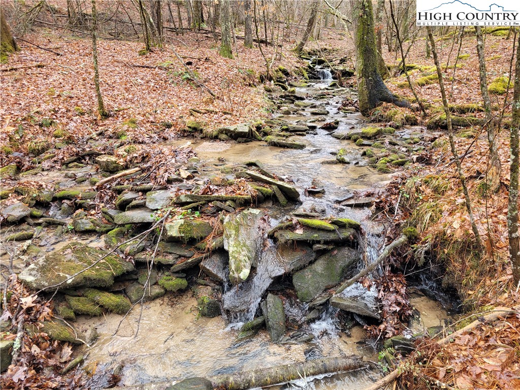 232 Bertie Circle Piney Creek, NC 28663 - Photo 13 of 50 a backyard of a house with lots of green space