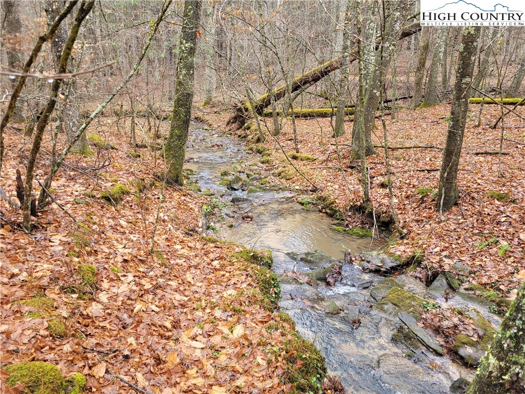 232 Bertie Circle Piney Creek, NC 28663 - Photo 14 of 50 a view of a yard of the house