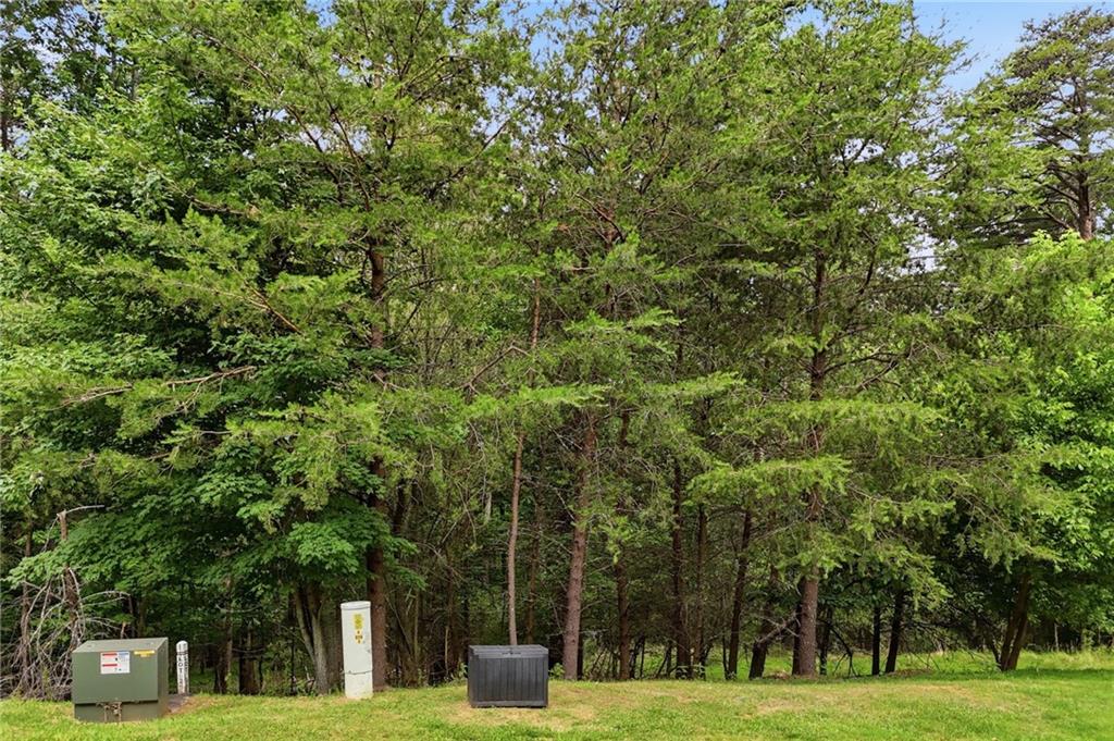 0 Owl Ridge Way Jasper, GA 30143 - Photo 20 of 22 a view of a park with large trees