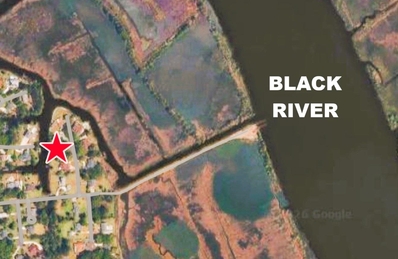 67 Ricefield Place Georgetown, SC 29440 - Photo 6 of 33
