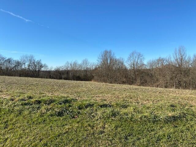 612 Doyle Road Brooksville, KY 41004 - Photo 2 of 2 Gallery Image 2