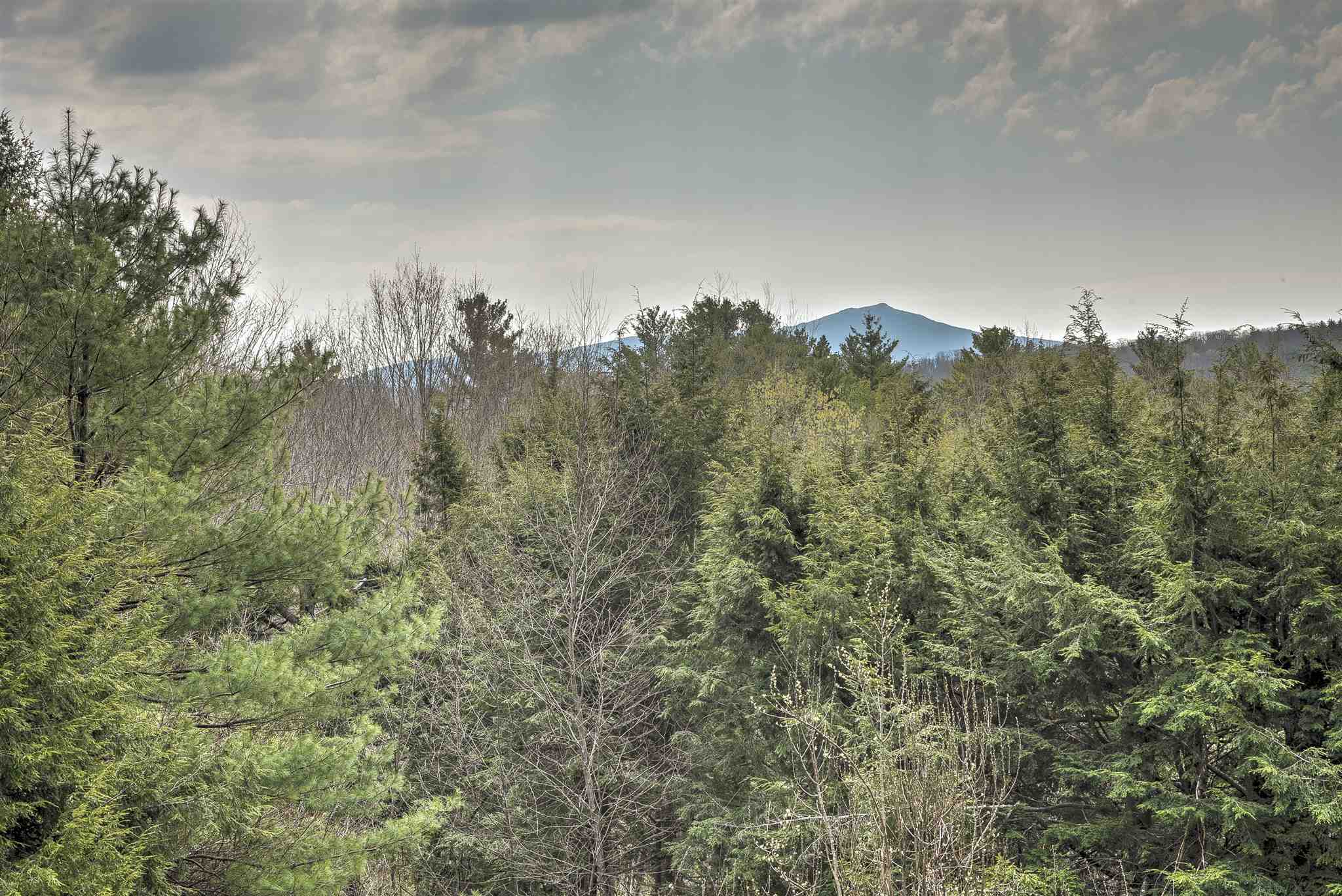 29 Cranberry Road Keene, NH 03431 - Photo 21 of 40
