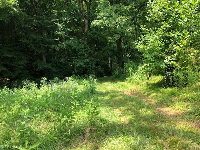 2920 Woosley Road Pfafftown, NC 27040 - Photo 20 of 31 Gallery Image 20
