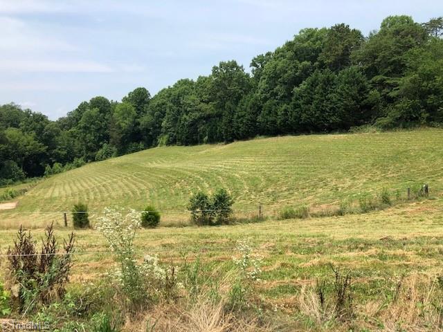 2920 Woosley Road Pfafftown, NC 27040 - Photo 25 of 31 Gallery Image 25