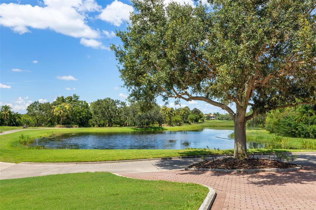 7631 Desert Inn Way Lakewood Ranch, FL 34202 - Photo 80 of 100