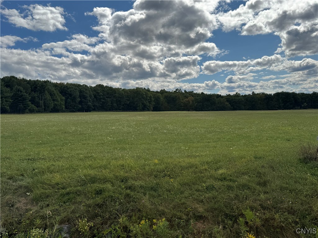 Lot 10 Sisson Road Penn Yan, NY 14527 - Photo 6 of 9 Lot 10 5.52 Acres