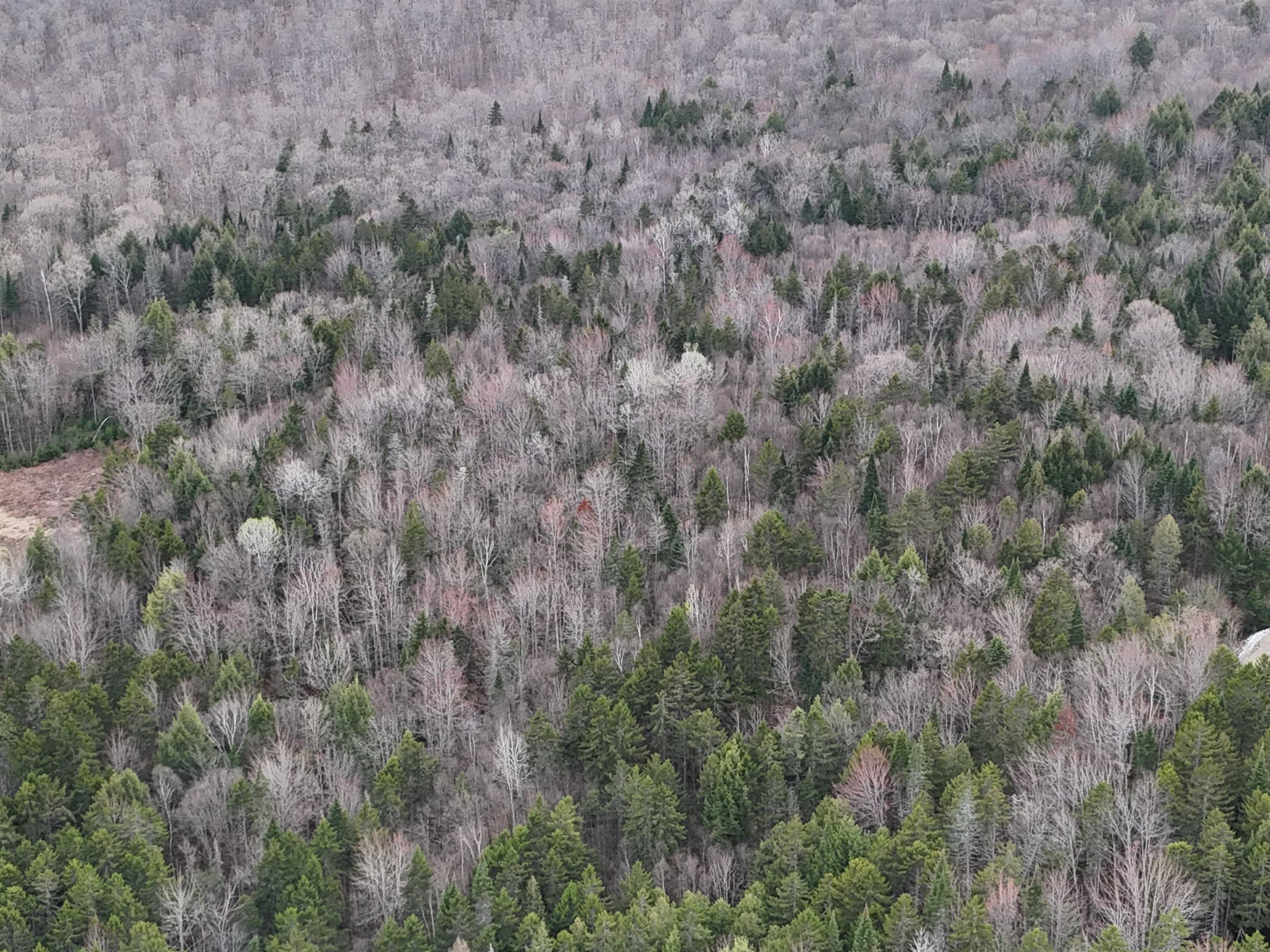 0 Pleasant Street Island Pond, VT 05846 - Photo 7 of 38
