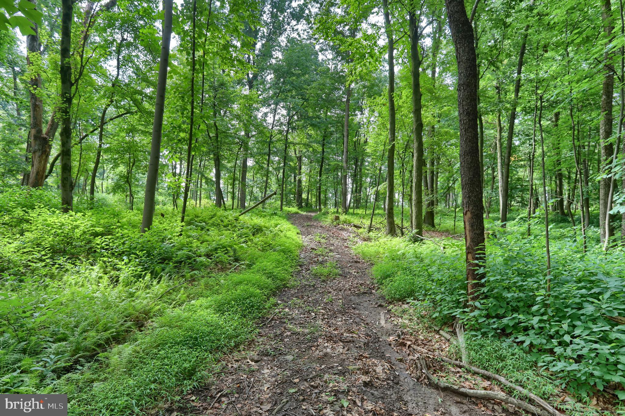 5056 Ridge Road Elizabethtown, PA 17022 - Photo 48 of 60 Gallery Image 48