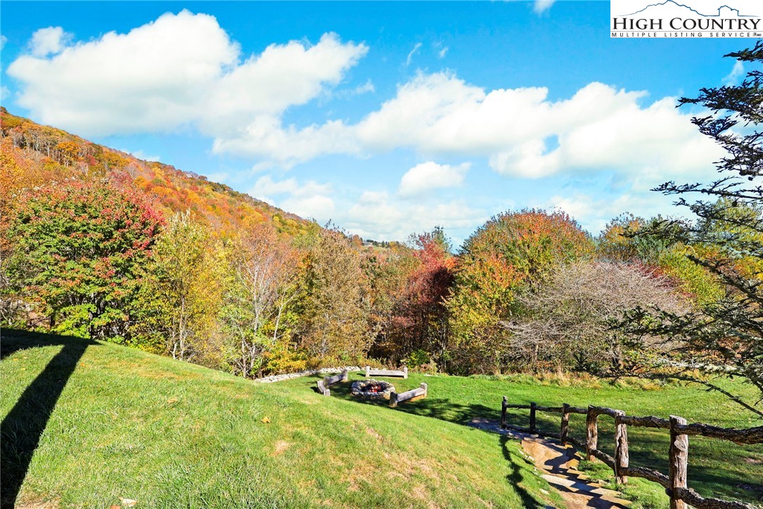 584 Grey Fox Ridge Road Banner Elk, NC 28604 - Photo 47 of 50 a view of a yard with an trees