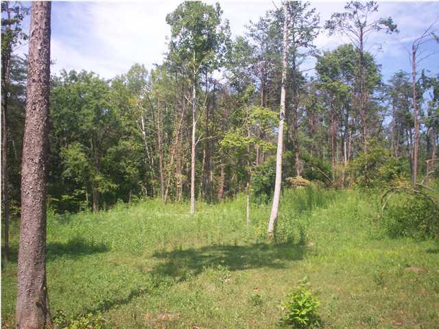0 Northwest Webb Ford Road Clarkson, KY 42726 - Photo 3 of 4 Additional Photo