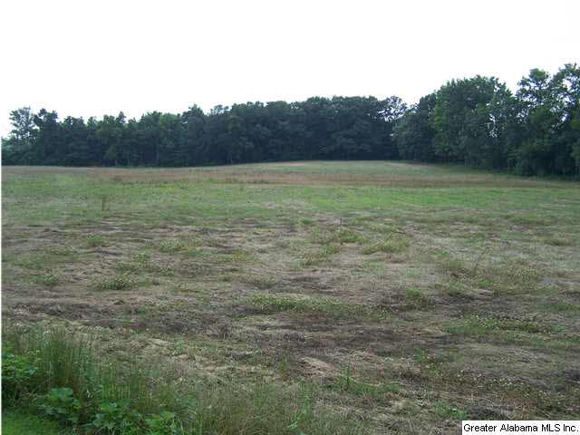 2066 Zion Hill Road Horton, AL 35980 - Photo 31 of 32
