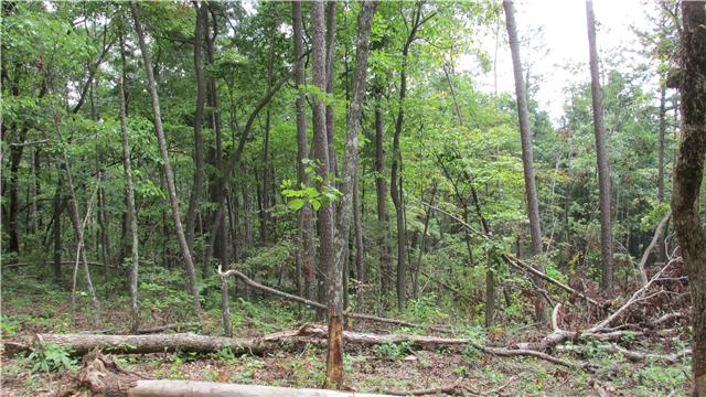 886 Gap Road Altamont, TN 37301 - Photo 6 of 6