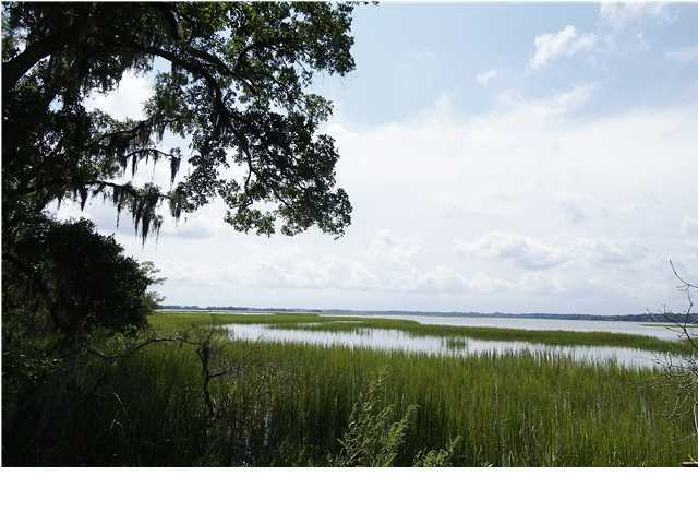 1340 Polly Point Road Wadmalaw Island, SC 29487 - Photo 1 of 3 Primary Photo