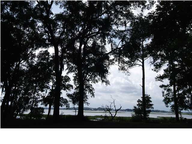 1340 Polly Point Road Wadmalaw Island, SC 29487 - Photo 2 of 3 Additional Photo