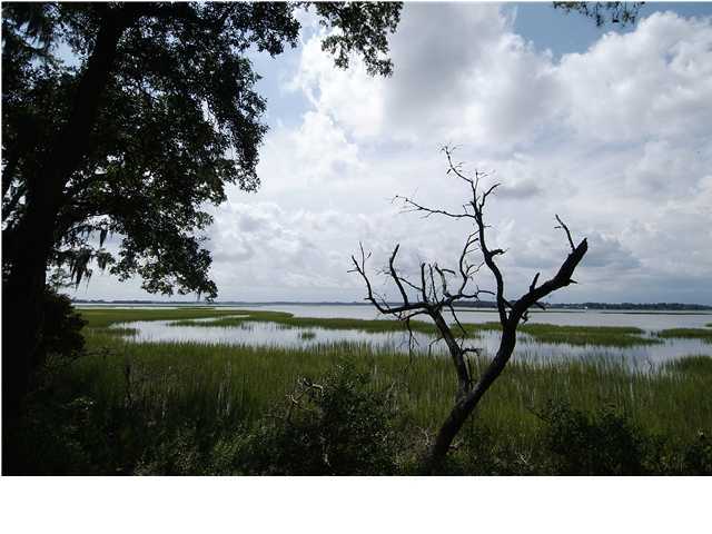 1340 Polly Point Road Wadmalaw Island, SC 29487 - Photo 3 of 3 Additional Photo