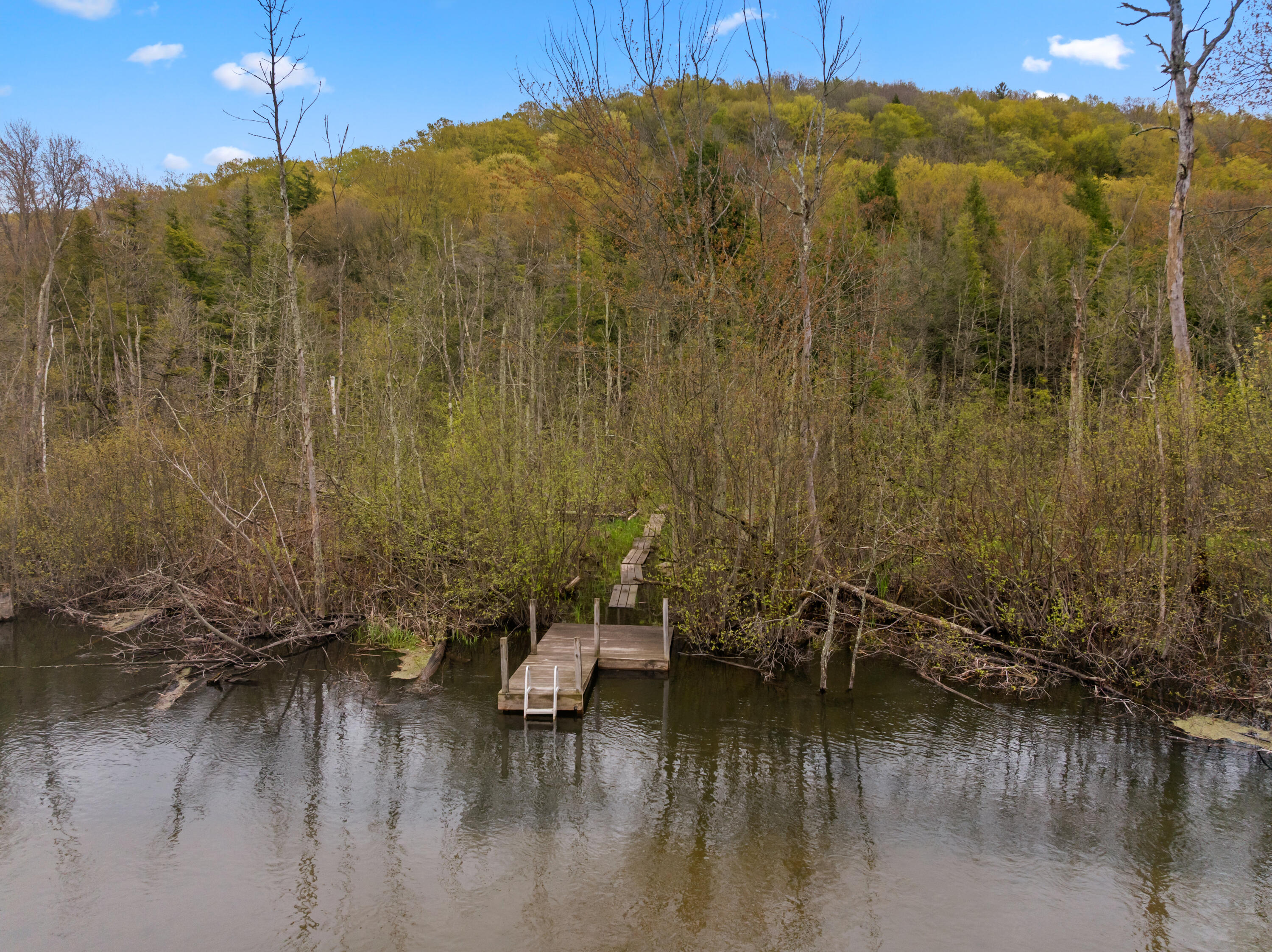 3513 River Road Frankfort, MI 49635 - Photo 4 of 35 DJI_20260513124524_0100_D