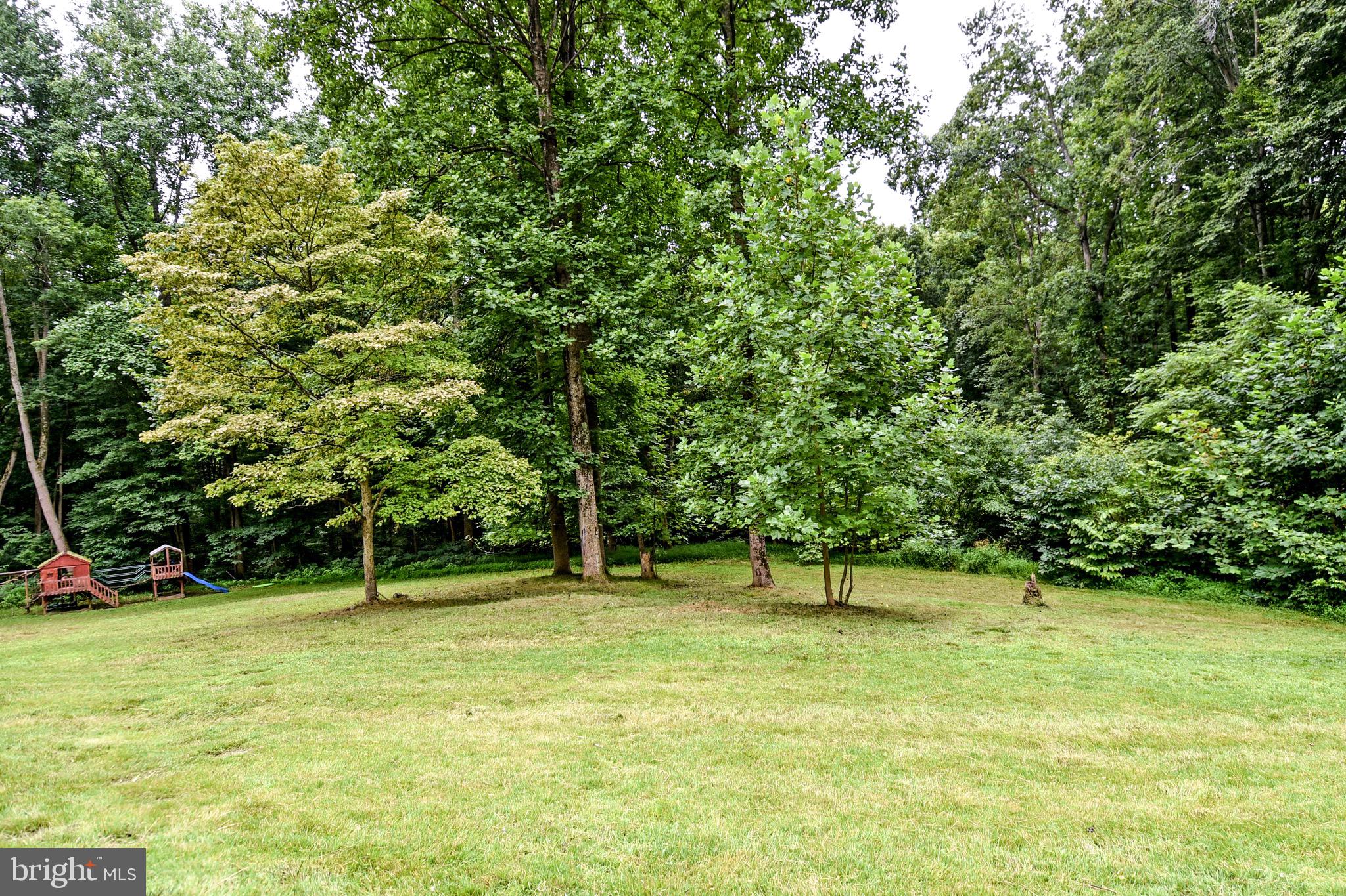 16245 Inheritance Drive Brandywine, MD 20613 - Photo 53 of 56 Gallery Image 53