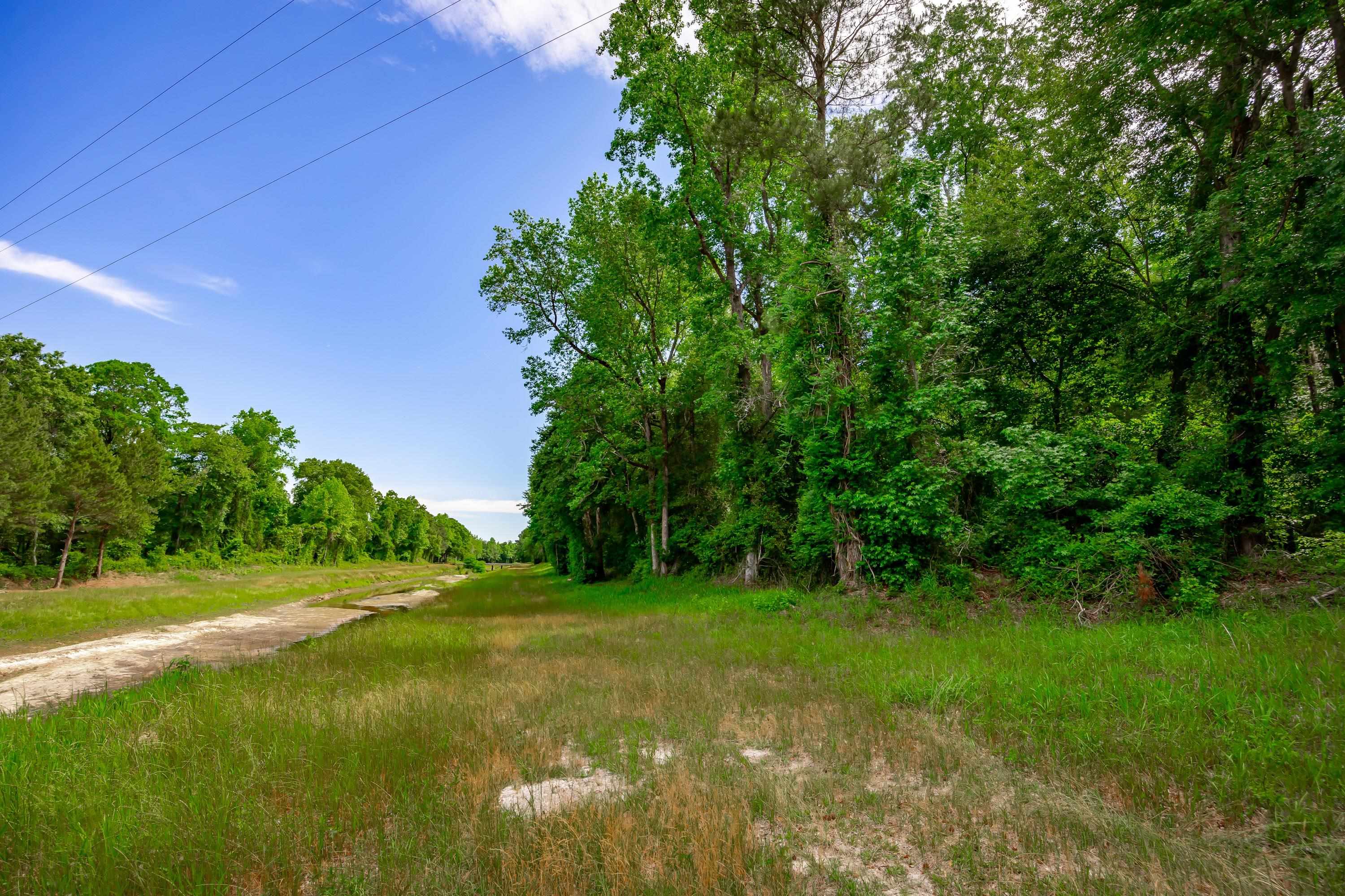 0 Sand Plant Road Nichols, SC 29581 - Photo 18 of 29 Gallery Image 18