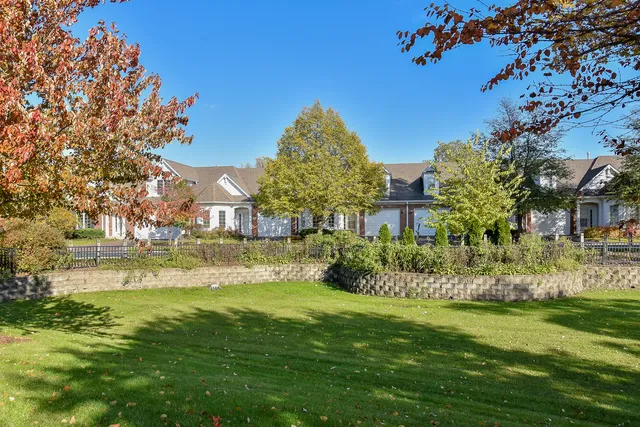 a garden with trees in the background