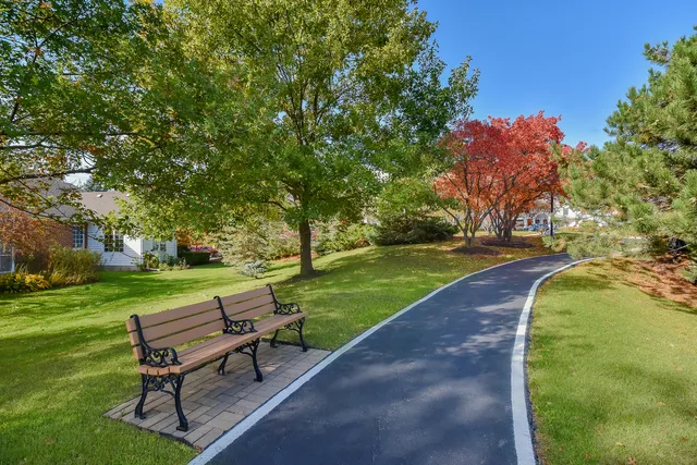 a view of a park with bench in a park