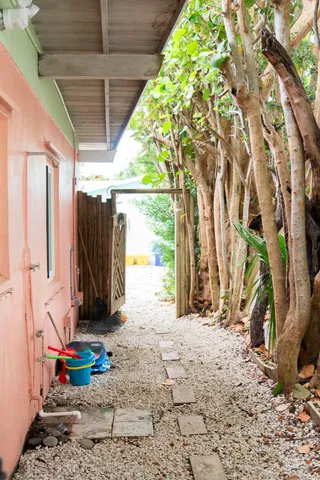 a view of a backyard with plants