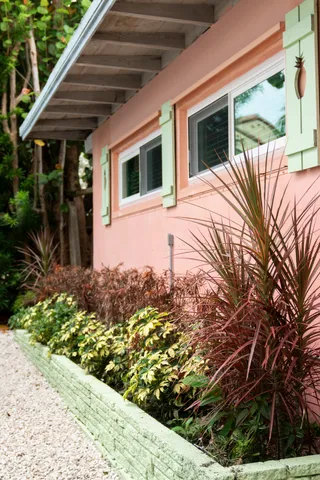 a house that has a tree in front of it