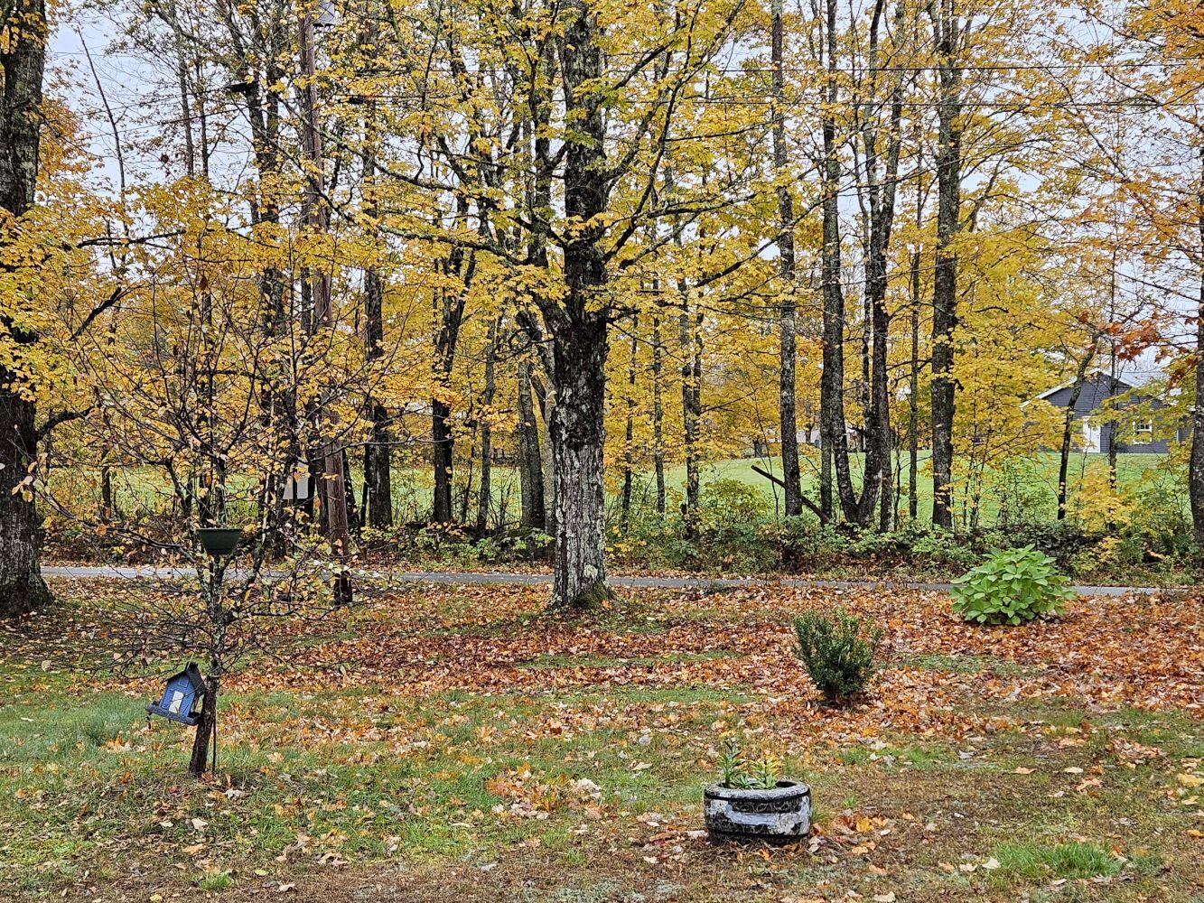 1184 South Solon Road Solon, ME 04979 - Photo 30 of 31 20241014_120119