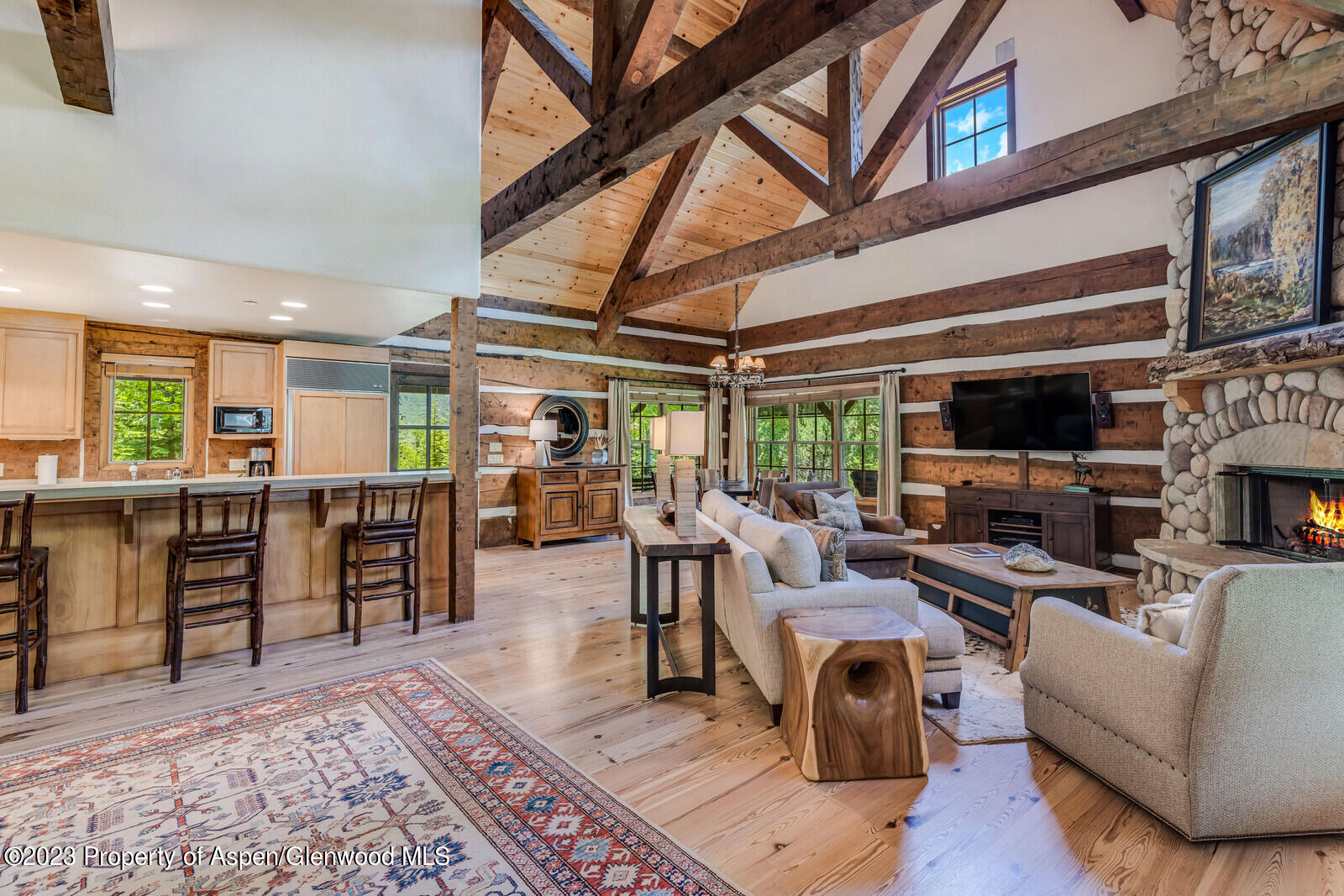 6 A Arbaney Ranch Road Basalt, CO 81621 - Photo 2 of 44 a living room with fireplace furniture and a flat screen tv