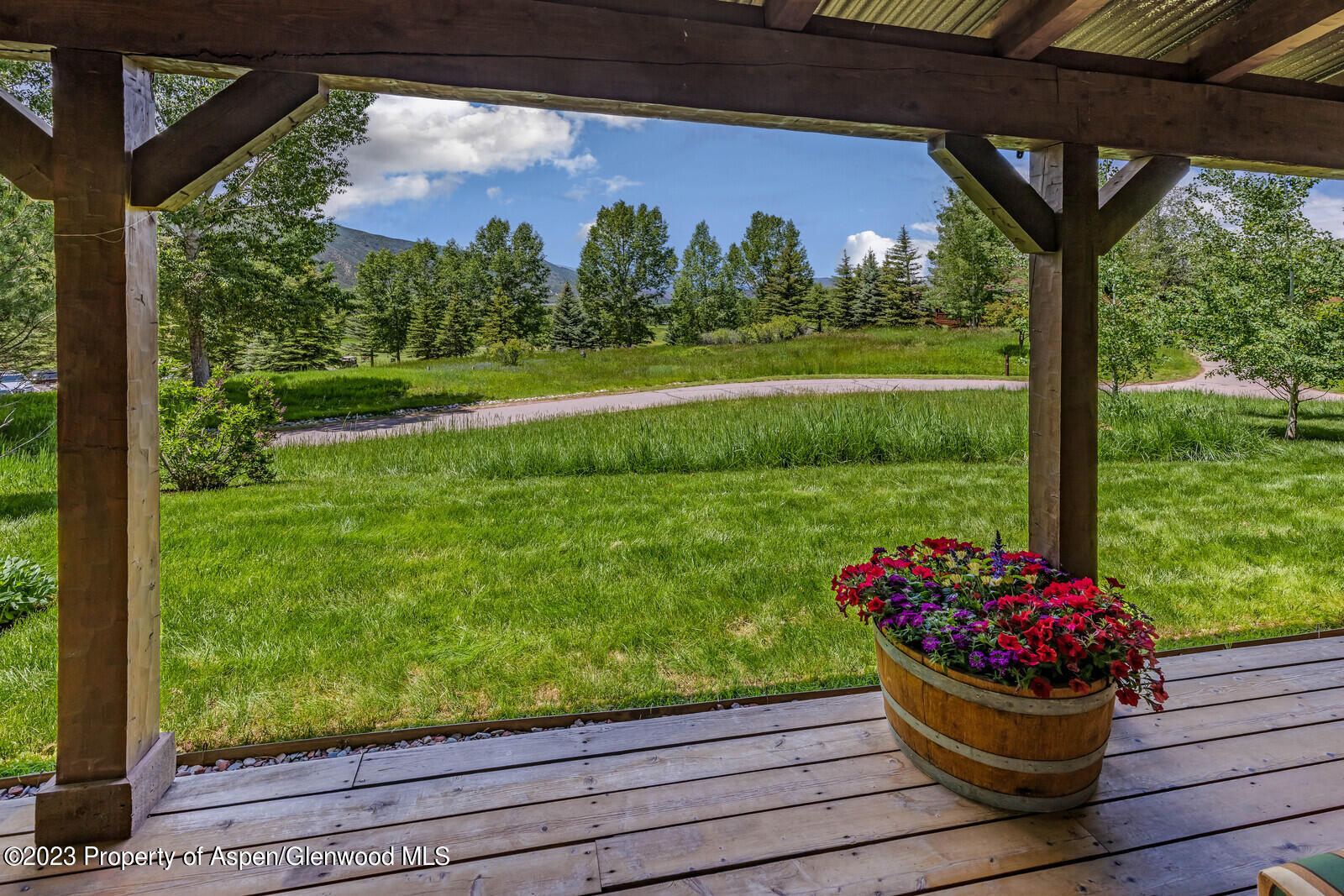 6 A Arbaney Ranch Road Basalt, CO 81621 - Photo 42 of 44 a view of a potted flower in a yard with potted plants